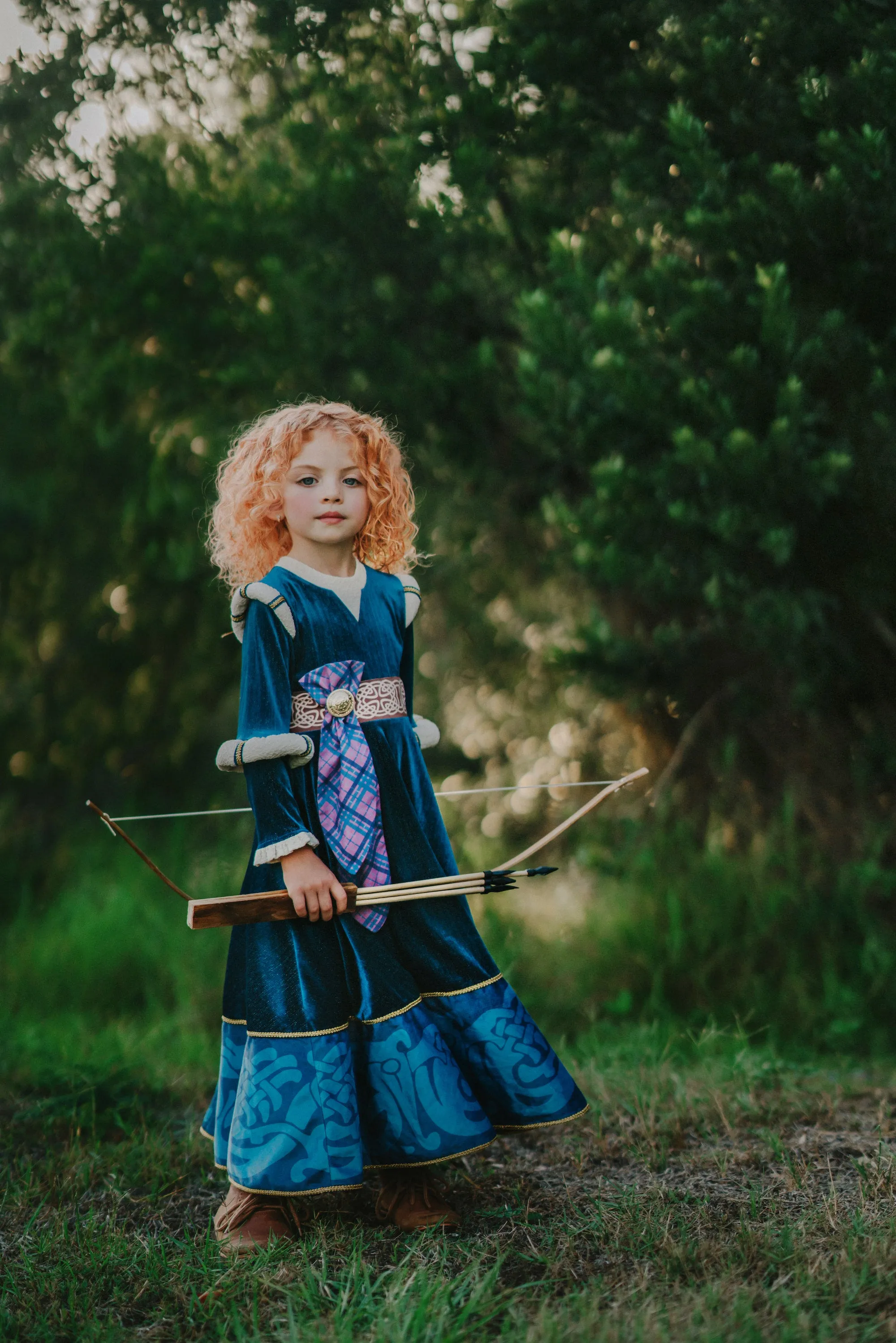 Courageous Princess Portrait Collection Gown Update