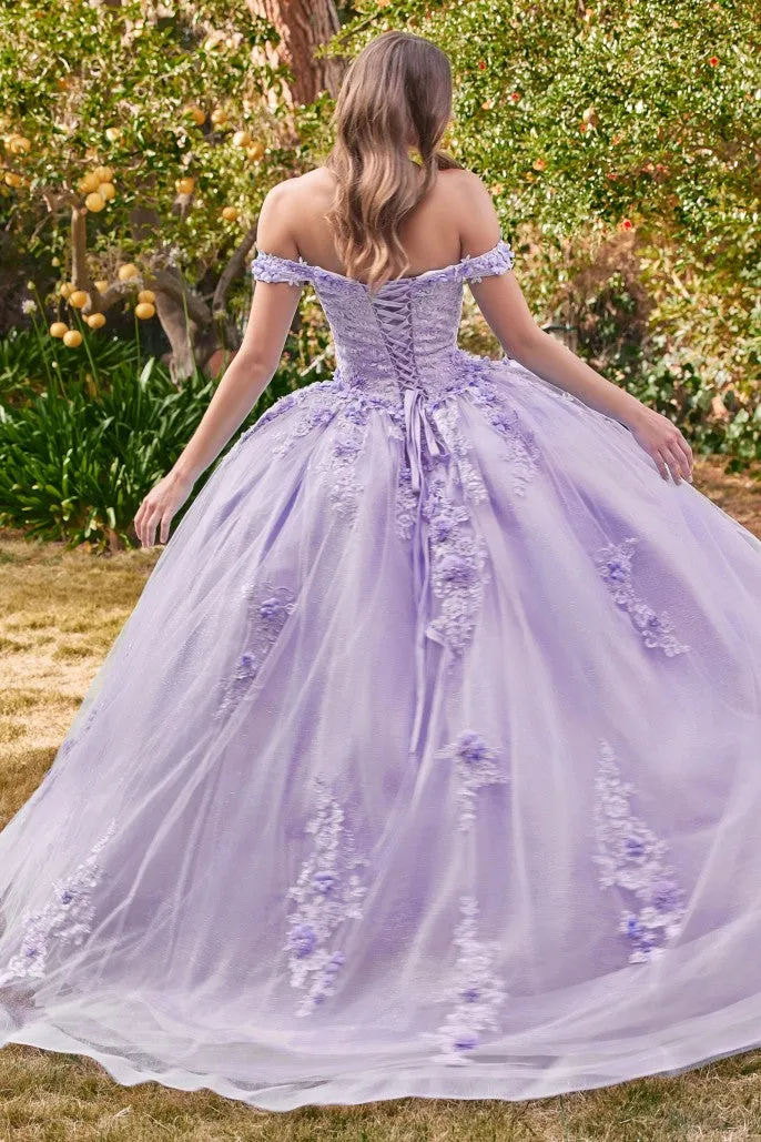 Love Angel | Off the Shoulder Floral Quince Ball Gown | LaDivine 15702