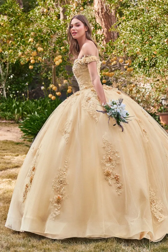 Love Angel | Off the Shoulder Floral Quince Ball Gown | LaDivine 15702