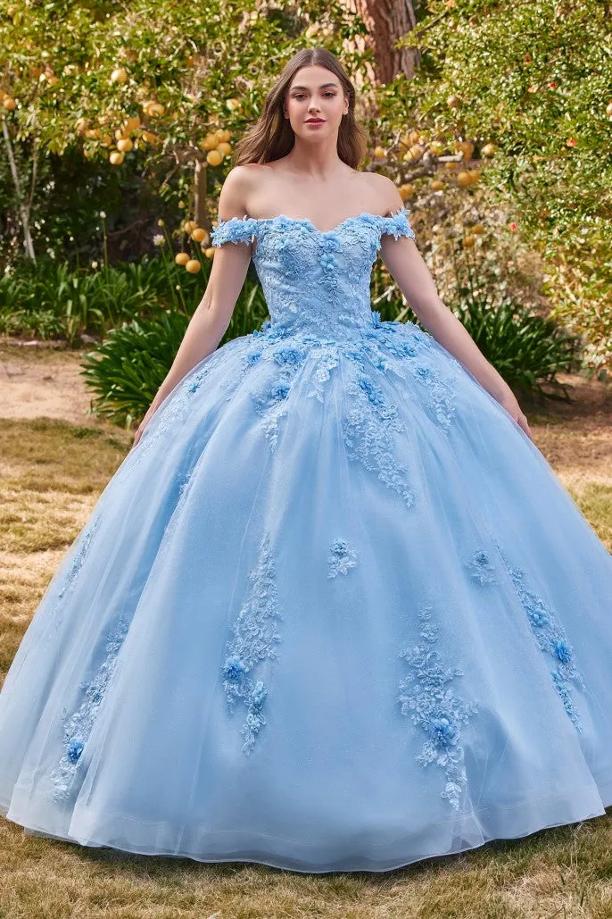 Love Angel | Off the Shoulder Floral Quince Ball Gown | LaDivine 15702