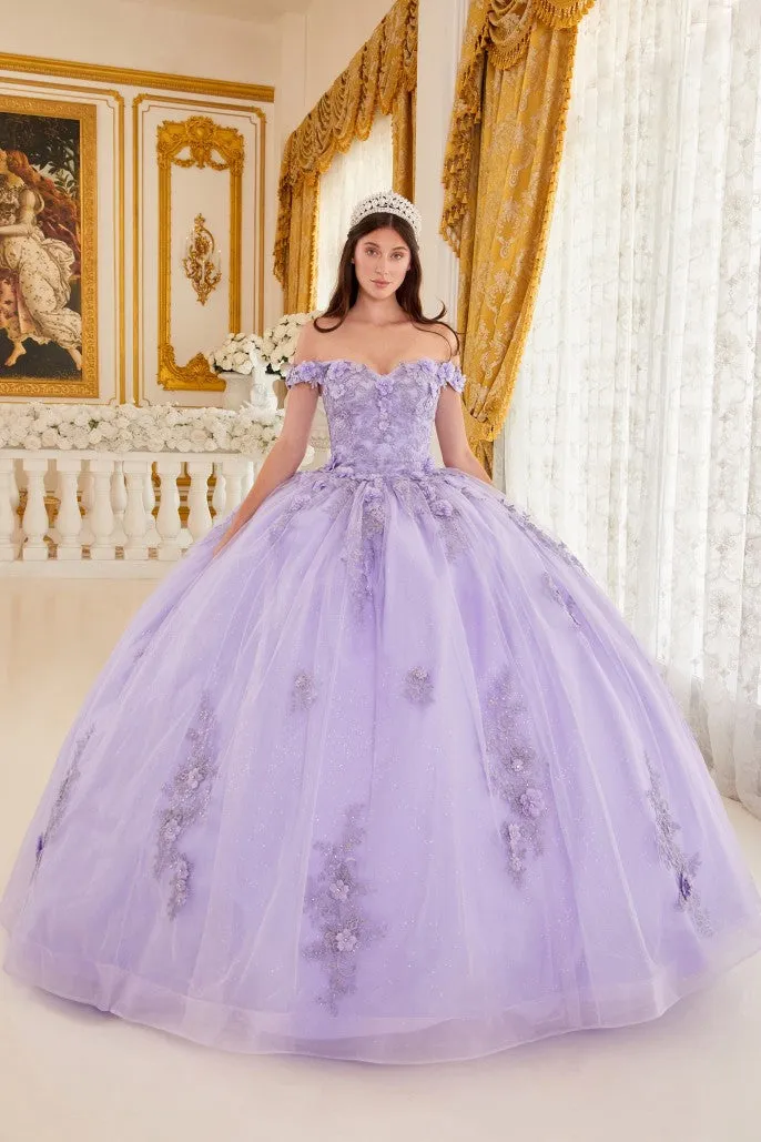 Love Angel | Off the Shoulder Floral Quince Ball Gown | LaDivine 15702